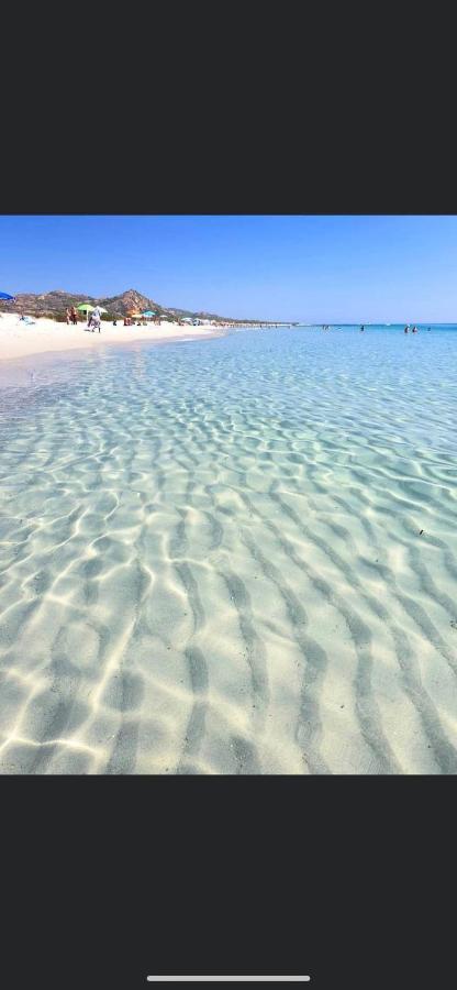Le Residenze Del Mare Monolocale N6 Lejlighed La Caletta Eksteriør billede